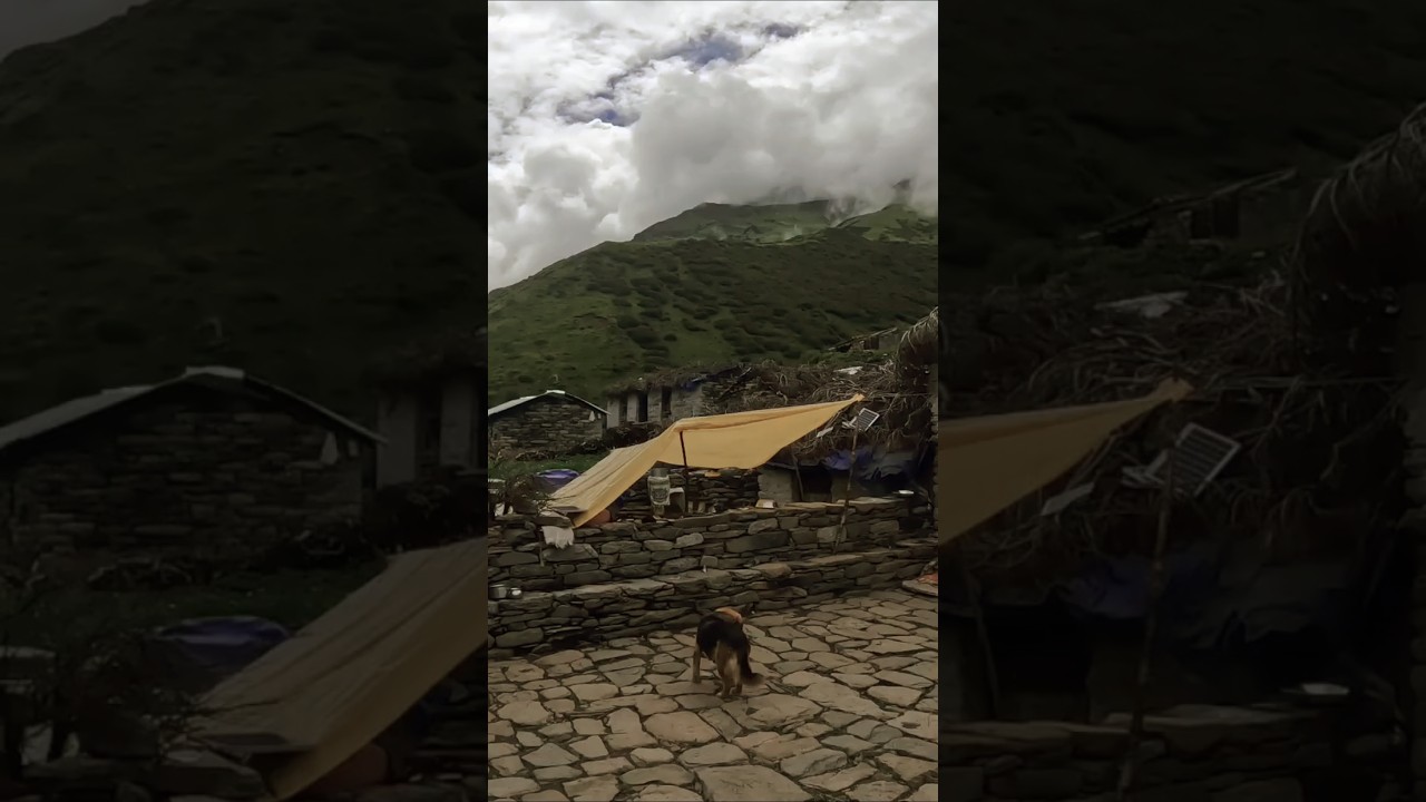 Ralam glacier Trek, 2025 #ralamglacier #ralamvillage #travel #mountains