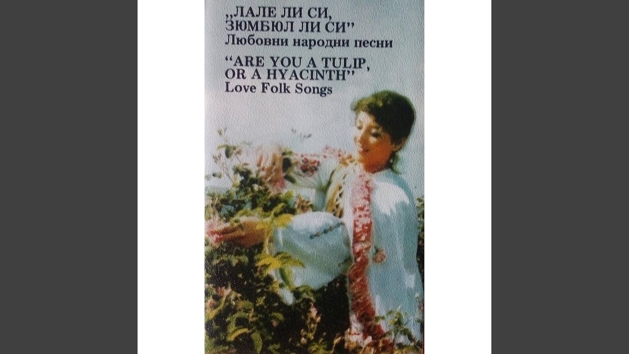 Лале ли си, зюмбюл ли си