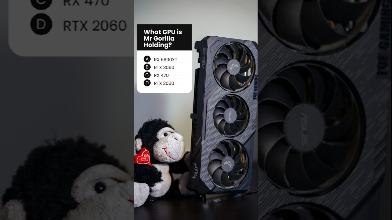 What GPU is Mr Gorilla Holding today? Vote and comment below! 