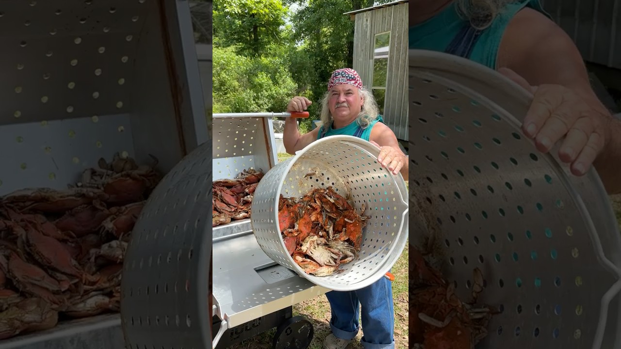 Boiled Crabs vs Steamed Crabs Taste Test! #crab #seafood