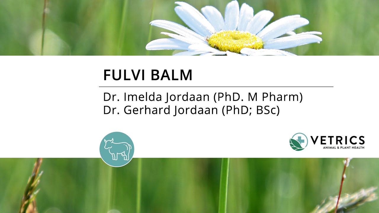 Dieregesondheid: Fulvi Balm  - 1 Minuut (Afrikaans)