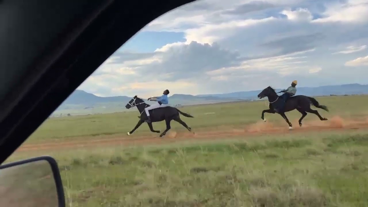 Traditional horse racing_Matiwane Mnambithi_23/03/2025