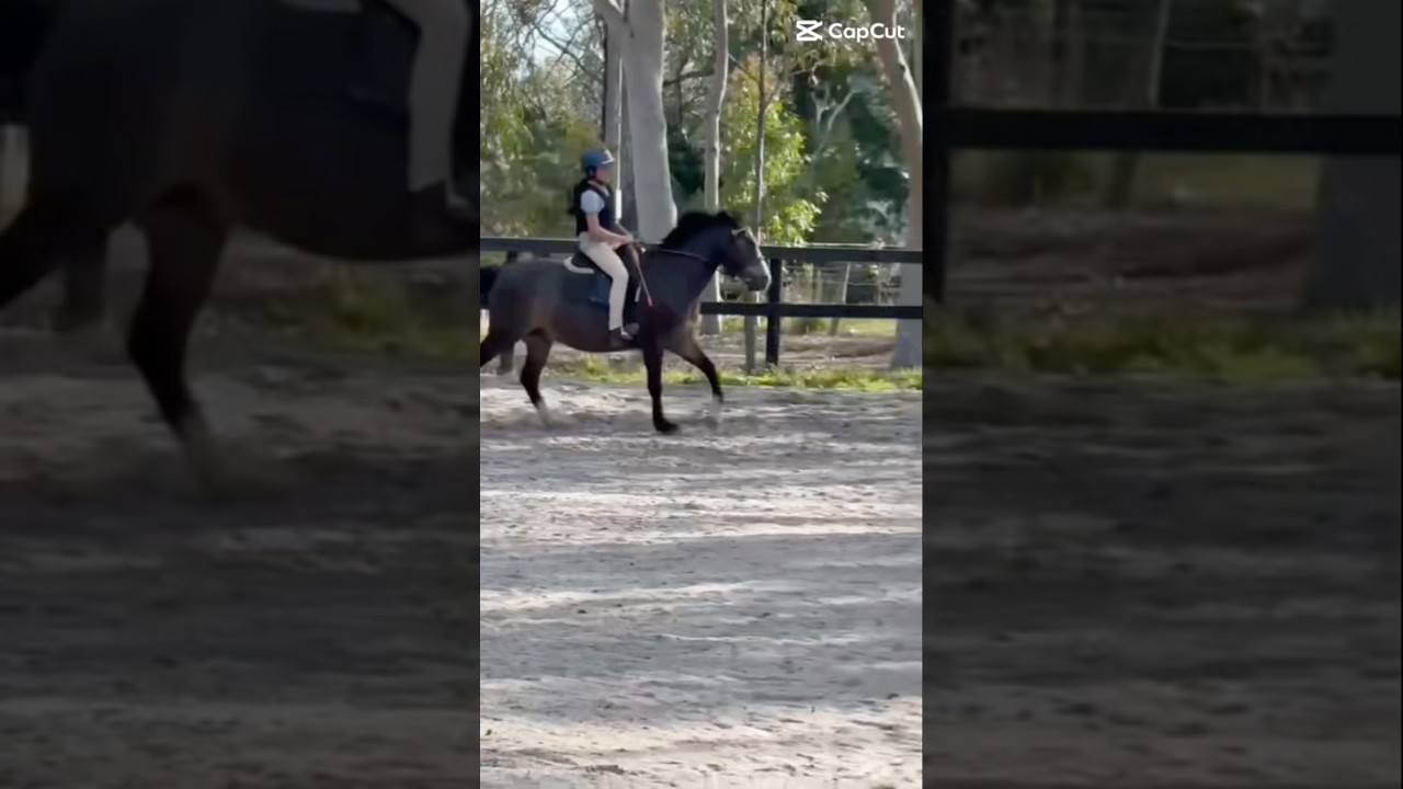 I&rsquo;m so happy that I&rsquo;m improving! 🫶🏽 TEX #horse #horseriding #equestrianjourney