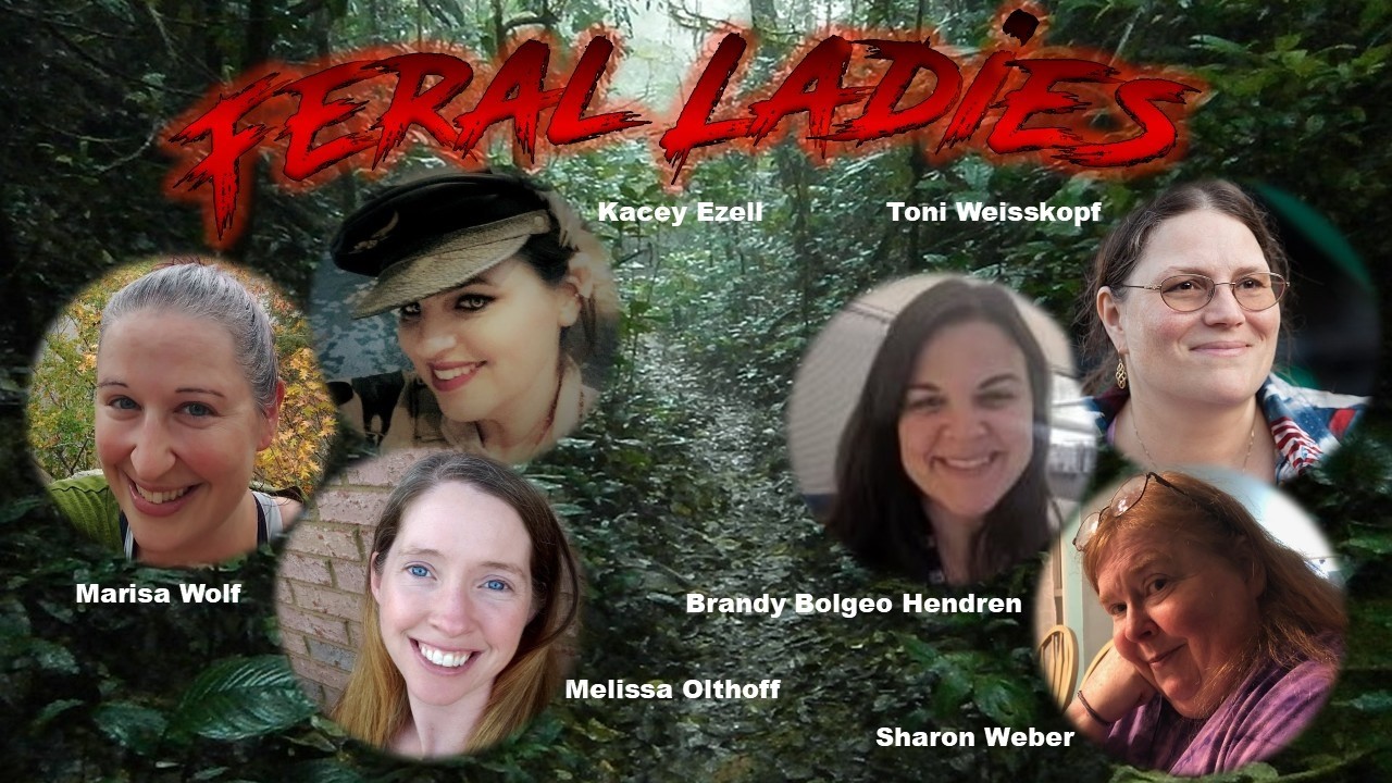 Feral Ladies: Talking Fandom with Toni Weisskopf, Brandy Bolgeo Hendren and Sharon Weber.