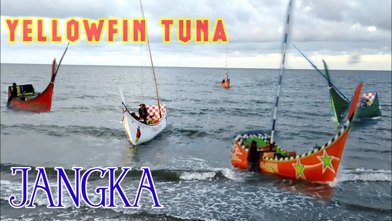 Amazing, YELLOWFIN TUNA Big Catch Fishing Skill Fisherman SEA JANGKA