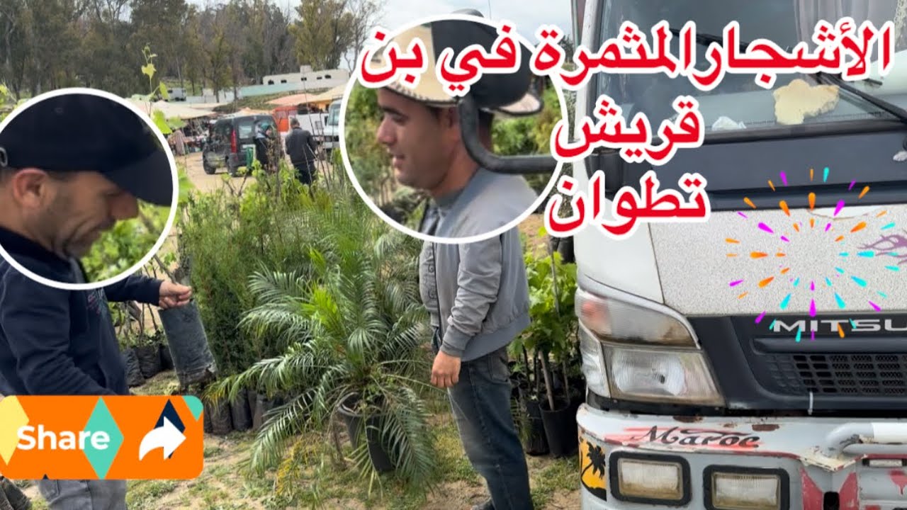 أنواع الأشجار المثمرة في سوق بن قريش تطوان
