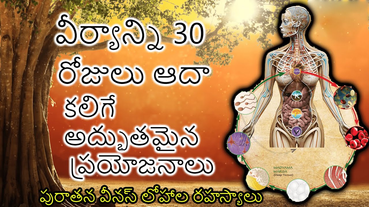 జీజీవితంలో మార్పు తీసుకురావడం గురించి CHALLENGE ||NO-FAP 30DAYS CHALLENGE || PART -1 || TELUGU GEEKS