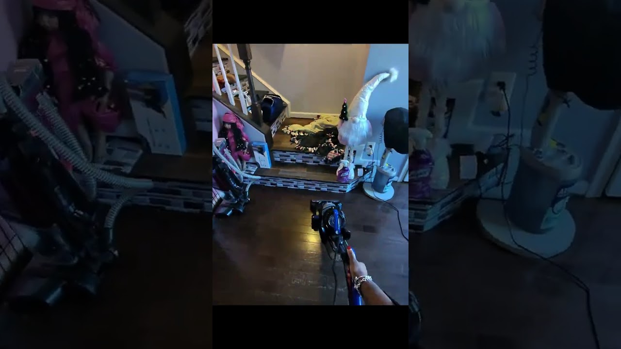 Cleaning House with Playful Dogs