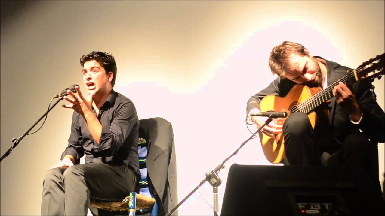 Miradas del Flamenco 2015 Seguiriya