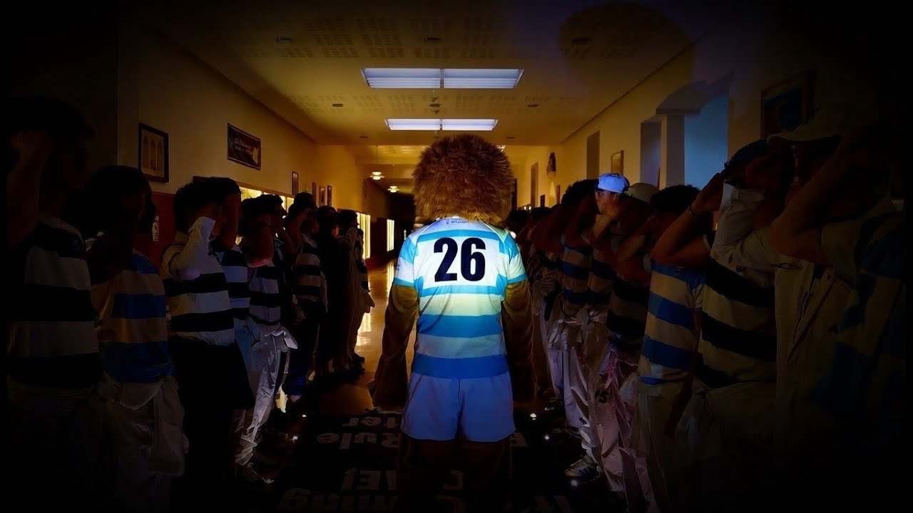 Lion Video 2026 | No Cage Can Hold A King
