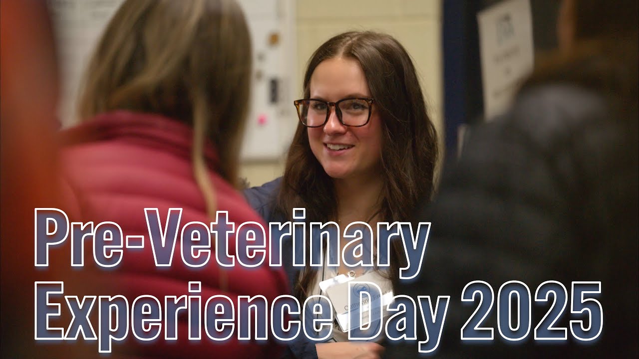 Pre-Vet Experience Day 2025