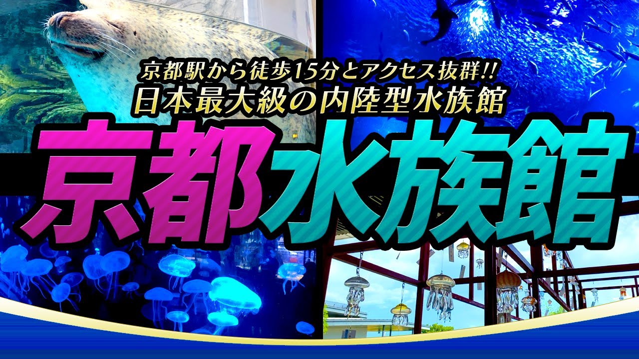 【京都駅から徒歩15分とアクセス抜群!!!】京都水族館【日本最大級の内陸型水族館】｜Japan KYOTO Tourism