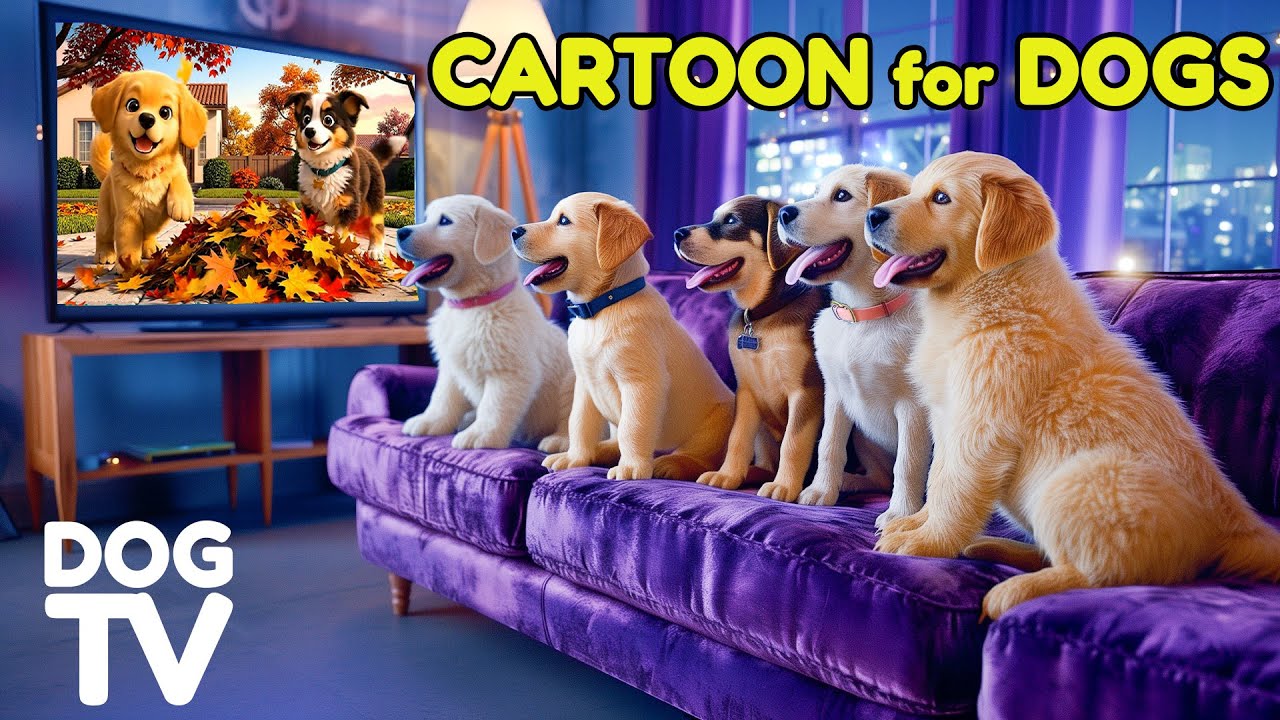 Cartoon for Dogs: Videos All-Day Entertain with Relax Music for Dogs When Home Alone | Dog TV