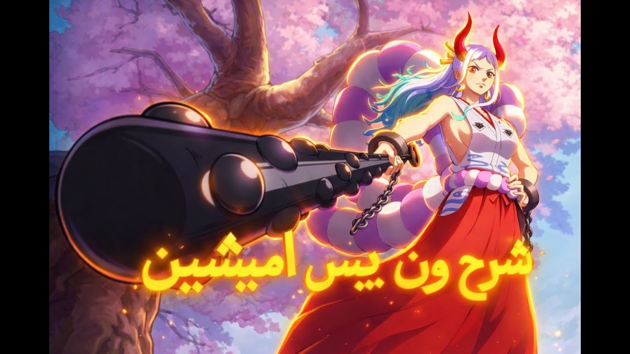 شرح ون بيس امبيشين
