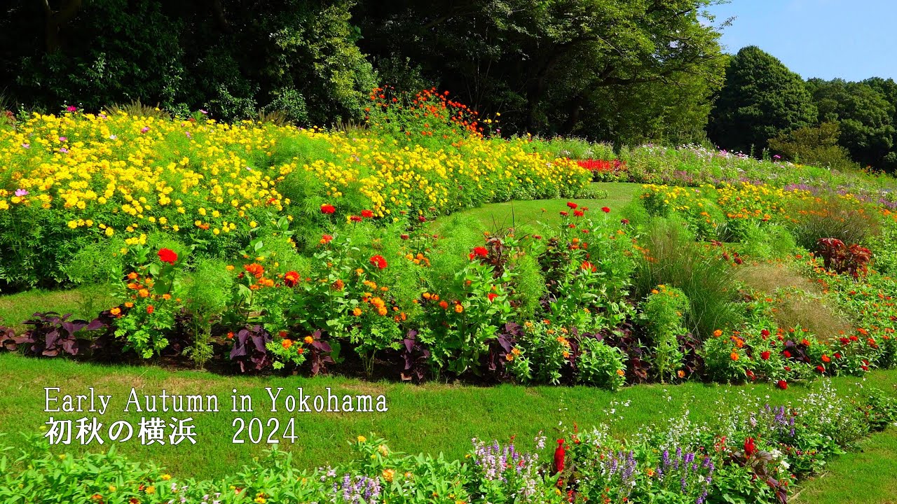 Ранняя осень в Иокогаме: Satoyama Garden Festa, Yokohama English Garden и т. д.