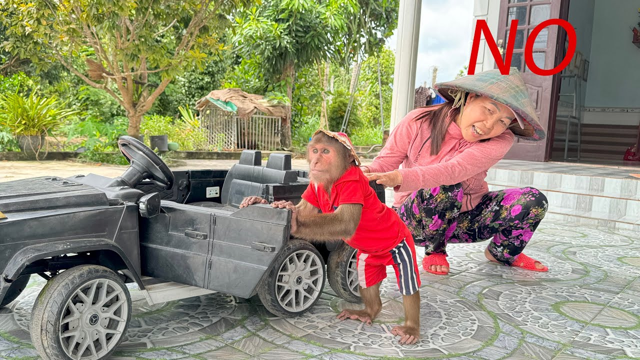 CUTIS enlisted go fishing to get money to redeem stolen car