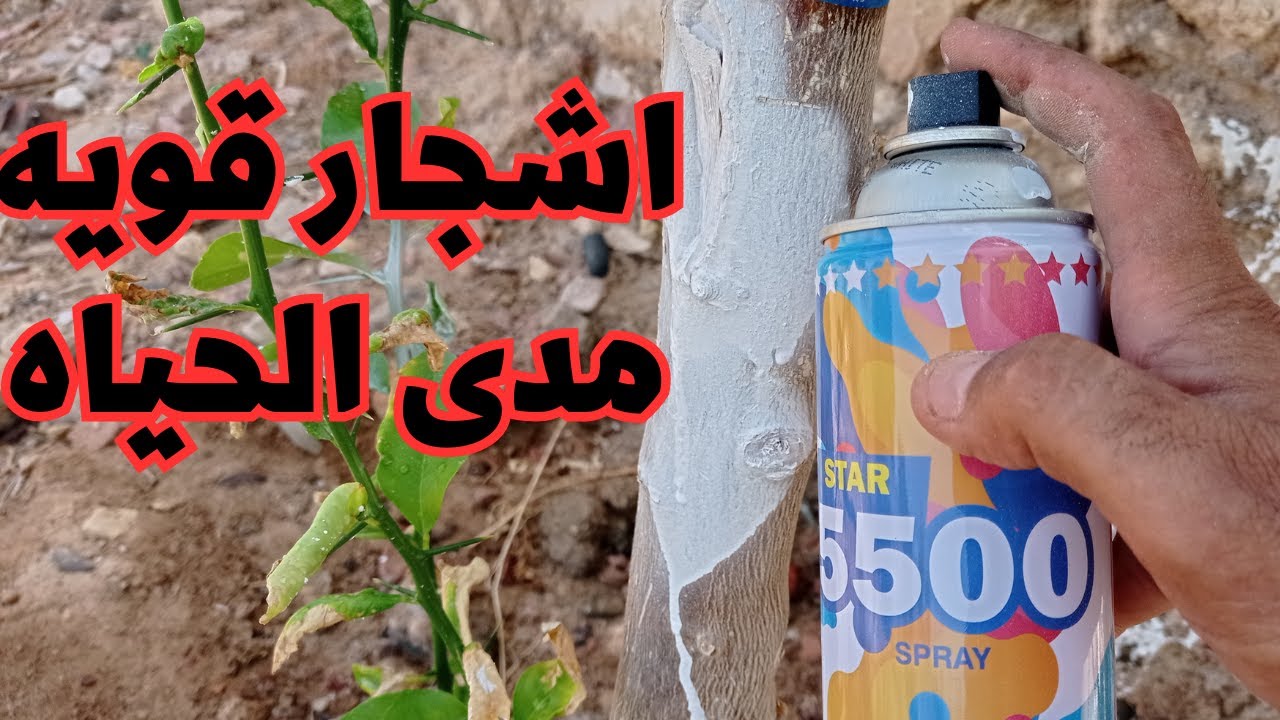 حافظ على اشجارك من النمل والمن والامراض الفطريه اشجار قويه ثمار بكثافه مدى الحياه