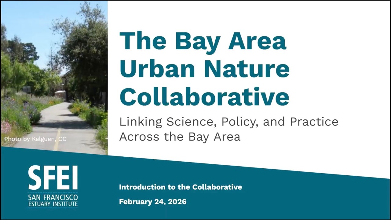 Introduction to the Bay Area Urban Nature Collaborative