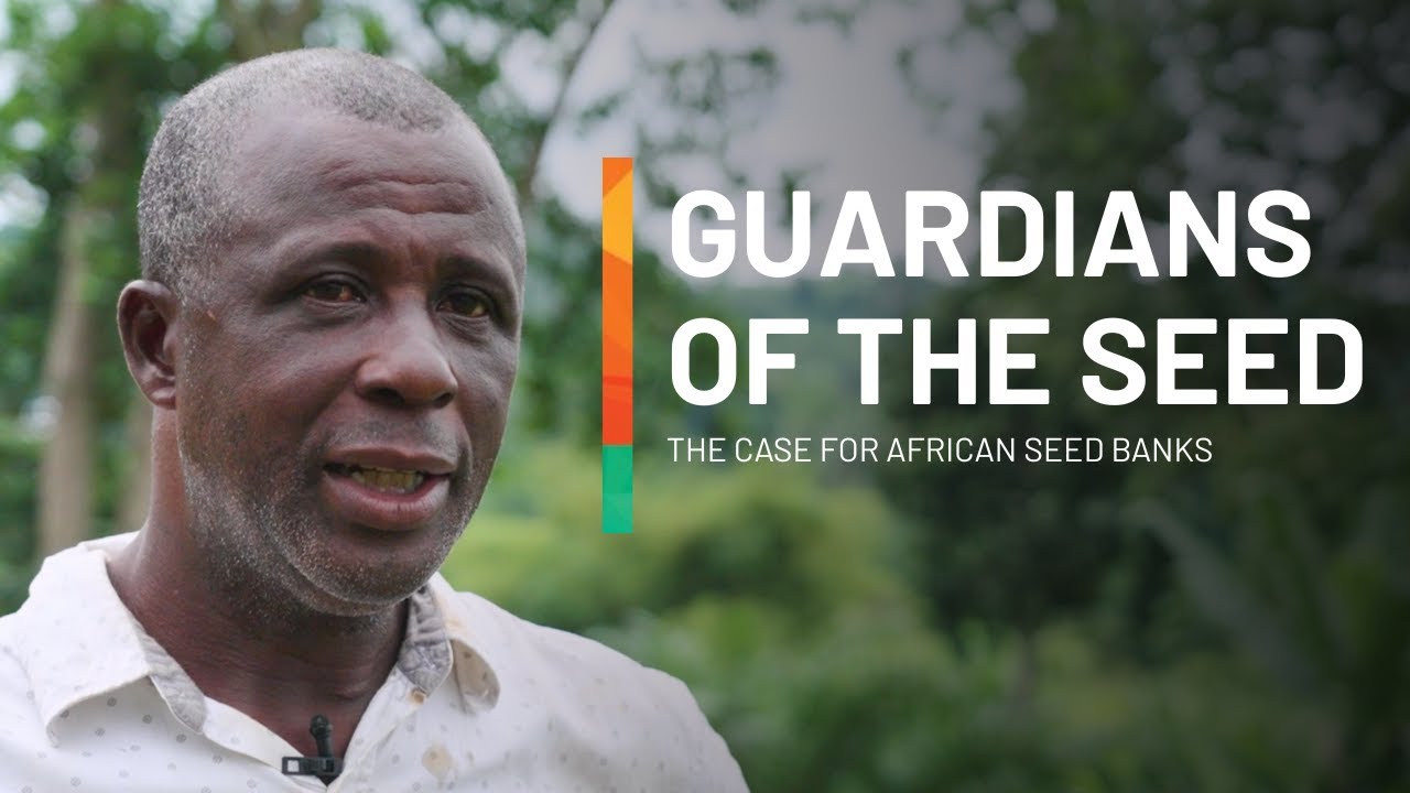 The First Community Seed Bank In Ghana | Guardians of the Seed
