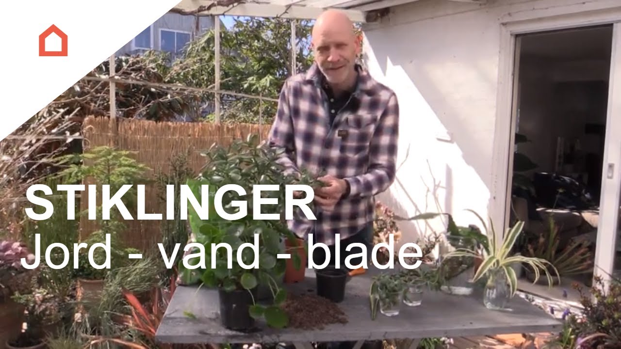 Stor guide: Sådan laver du dine egne stiklinger