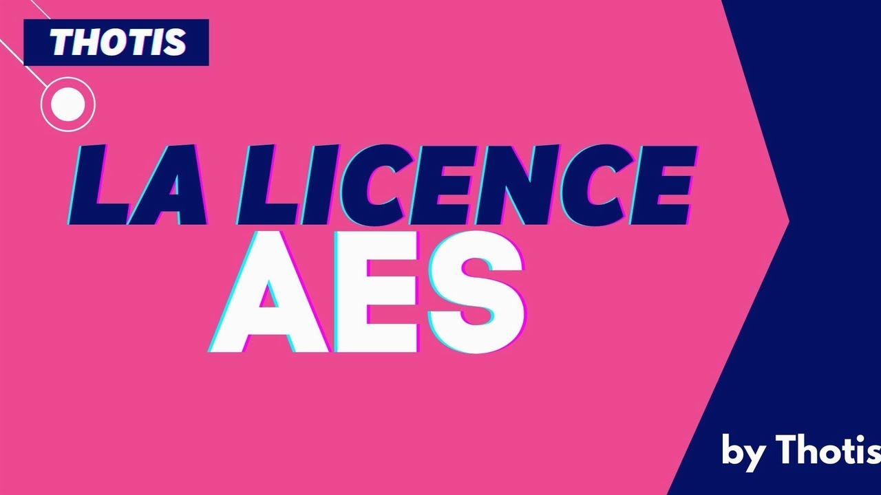 La Licence AES : témoignage d'étudiants par Thotis