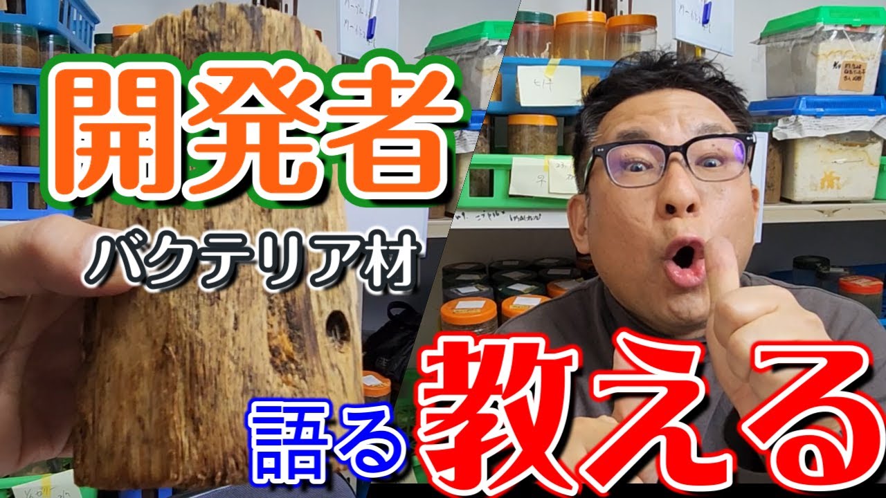 クワガタ飼育　この道30年プロの中のプロ、バクテリア材開発者が語り、教えます！