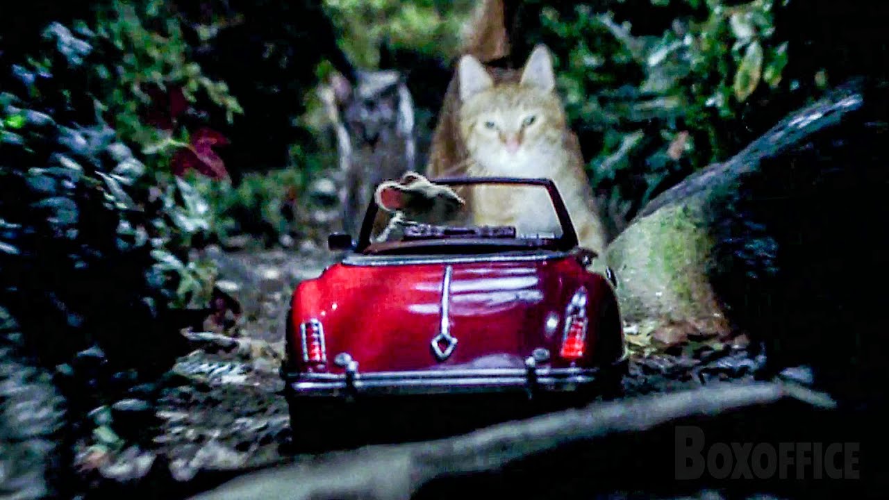Stuart Little vs. gatos con Persecución en Central Park