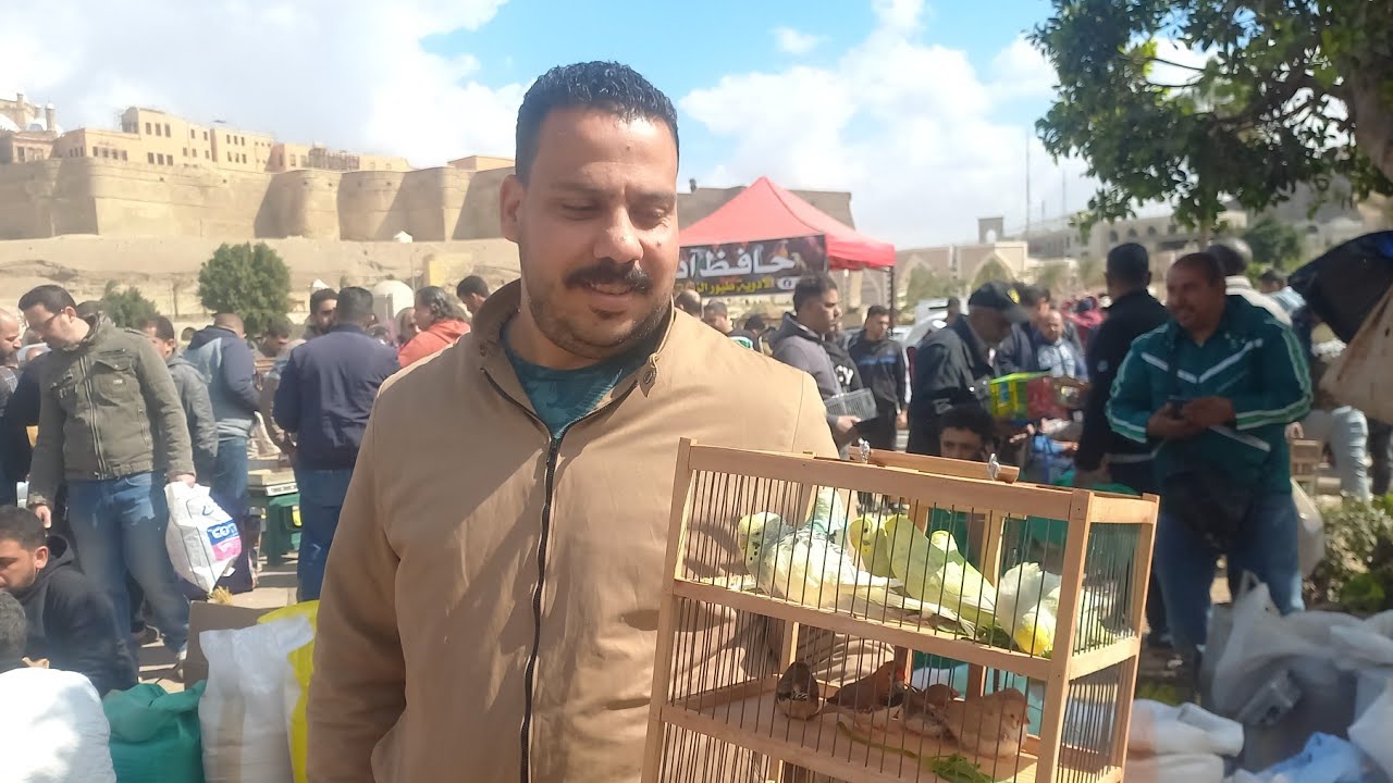 💚ثان فيديو من سوق الجمعة الناس اشترت عصافير ايه وبكام⁉️وأسعار العصافير بأرقام اصحابها من داخل السوق💯