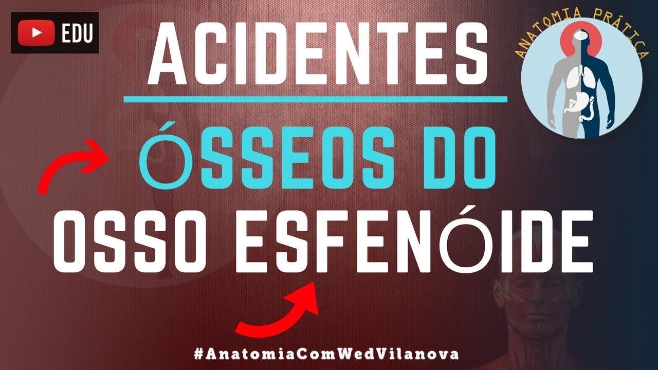 Osso Esfenóide ACIDENTES ÓSSEOS! Quais são❗❓DESCUBRA AQUI❗ [Anatomia Prática]