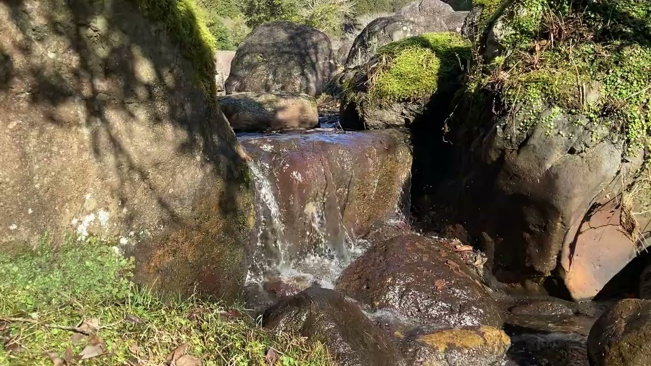 桃沢の水音