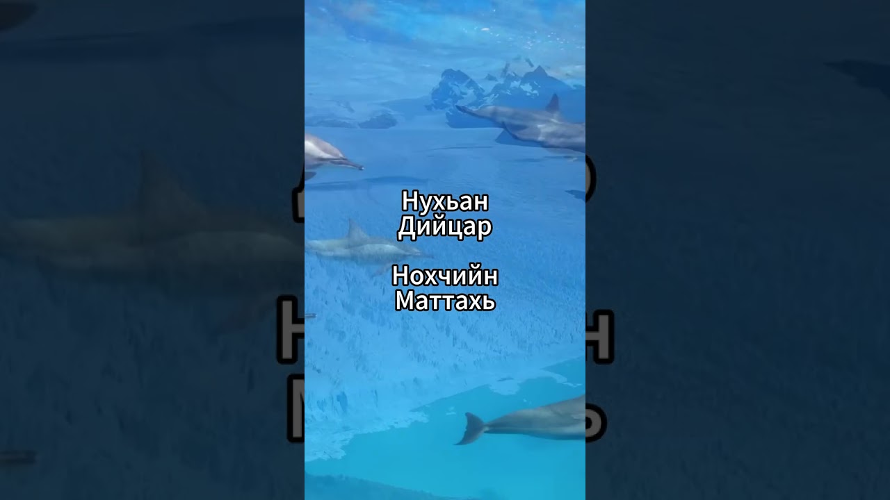 Нухь Пайхамаран Дийцар - Нохчийн маттахь