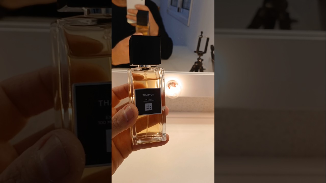 Thamus In The Box Perfumes #adansfragance #perfumes #fragrancias #inthebox