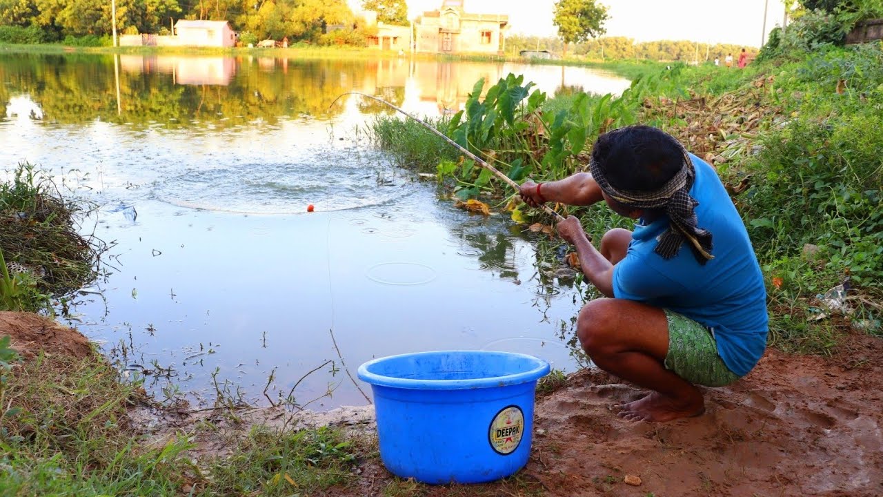 Fishing Video || The village boys know very well the proper method of catching fish from the pond