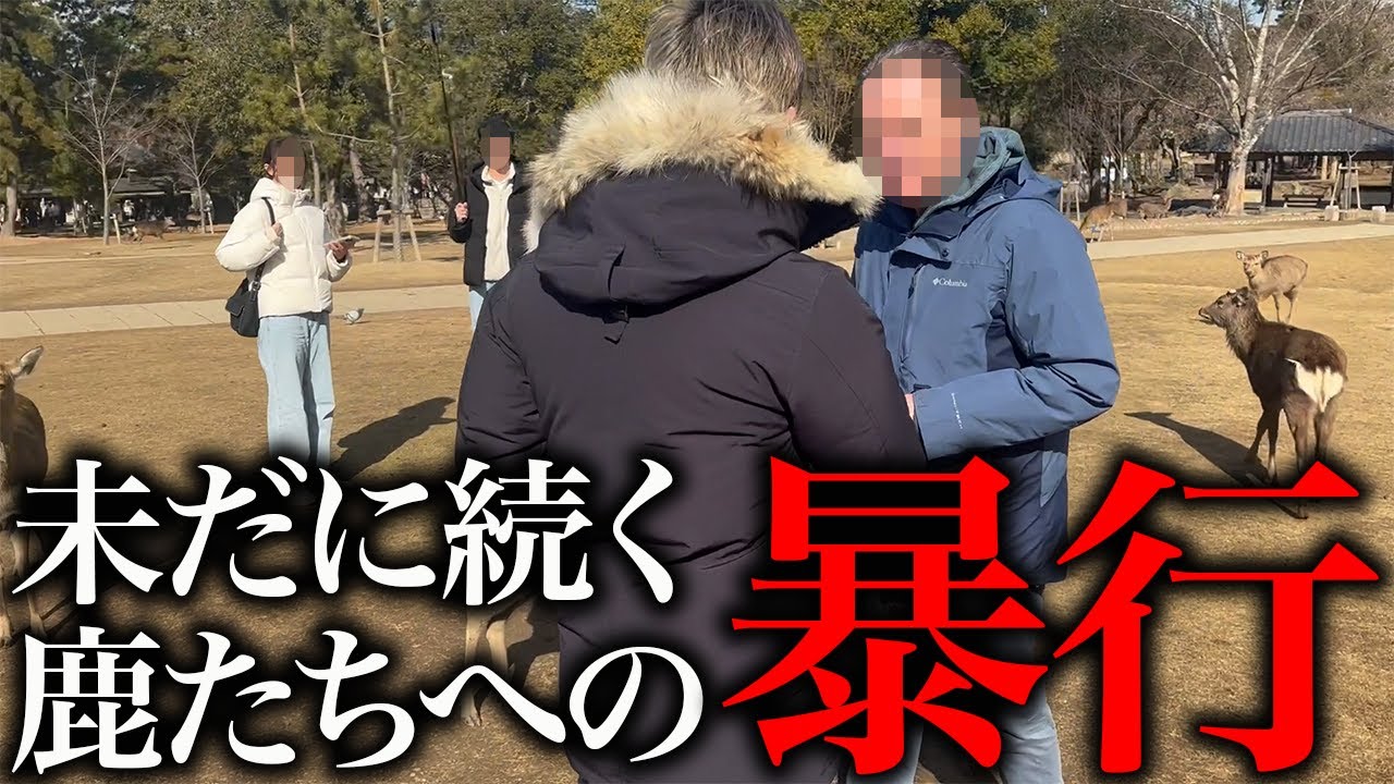【奈良編⑧】鹿を蹴る外国人。鹿の虐待問題はまだまだ続いています。