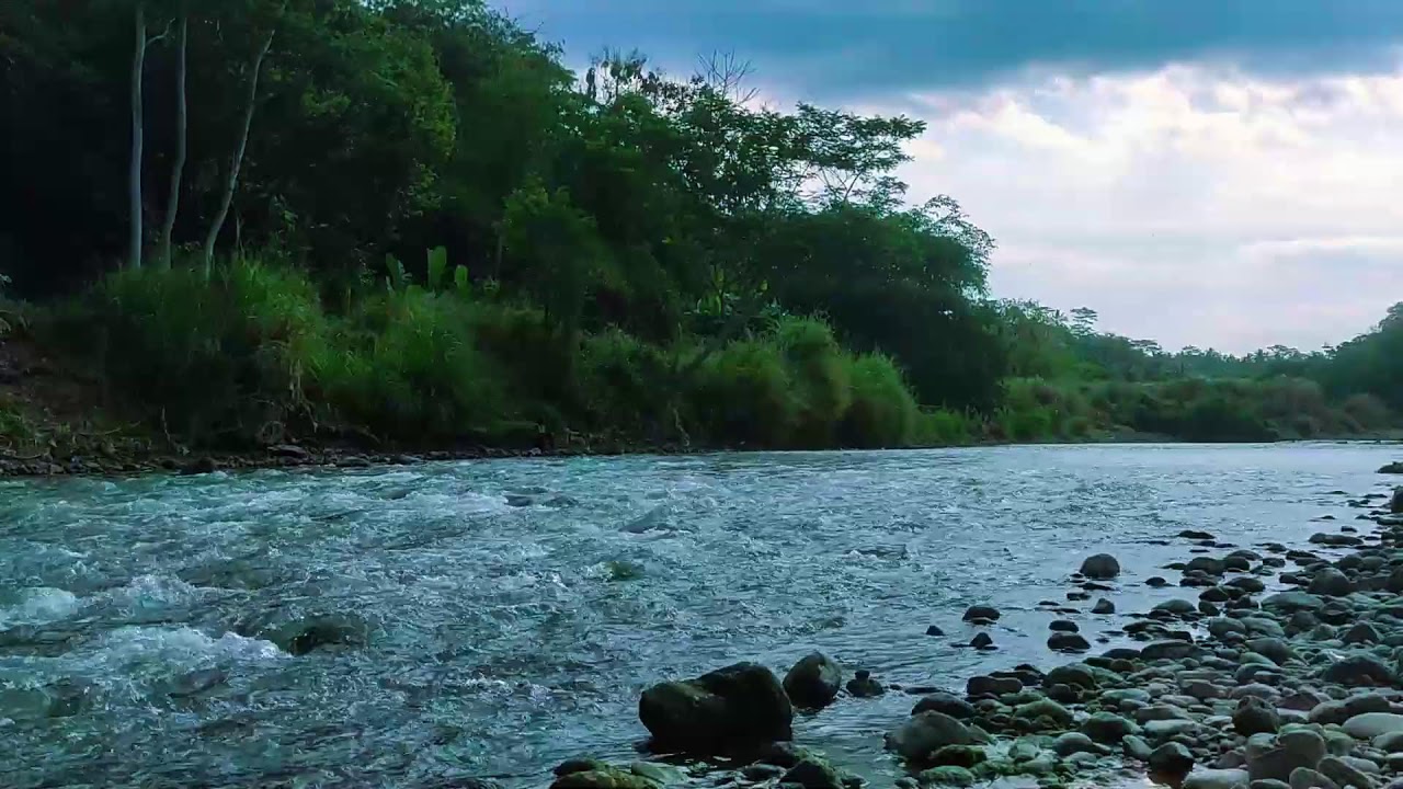 Relaxing River Sounds  10 Hours Natural Water Ambience for Sleep