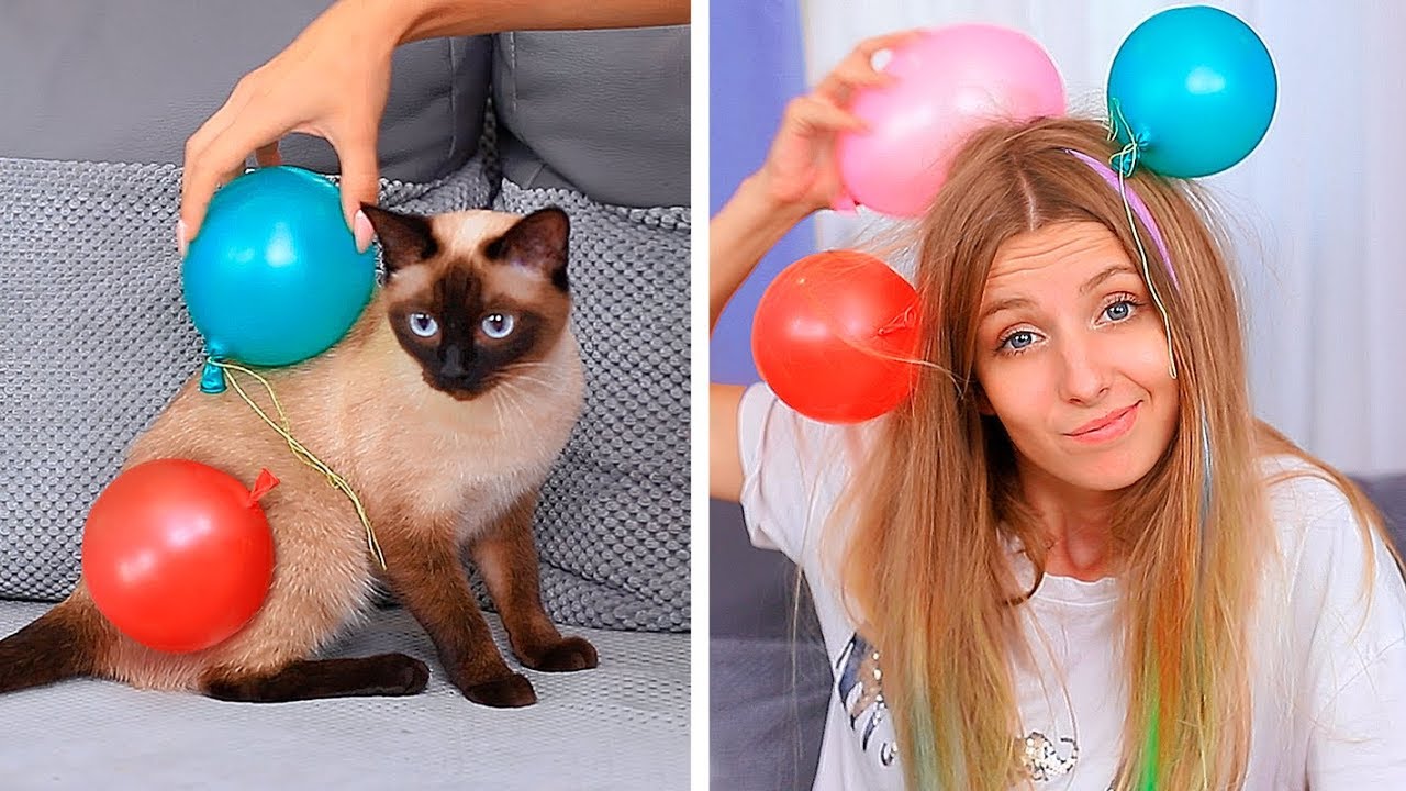 17 Funny Pet Pranks And Hacks