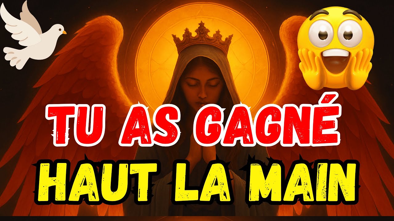 FÉLICITATIONS, NOS ÉLUS 🎉 C'EST FAIT ! VOUS N'AUREZ PLUS JAMAIS À VIVRE ÇA