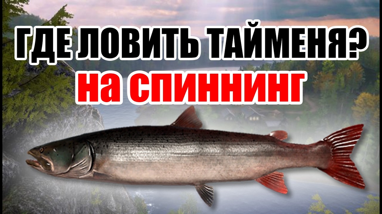 РР4 СТРИМ • ПРОВЕРЯЕМ КЛЕВ НА МОРЕ И ДАЛЬШЕ НА АХТУБУ •   РУССКАЯ РЫБАЛКА 4