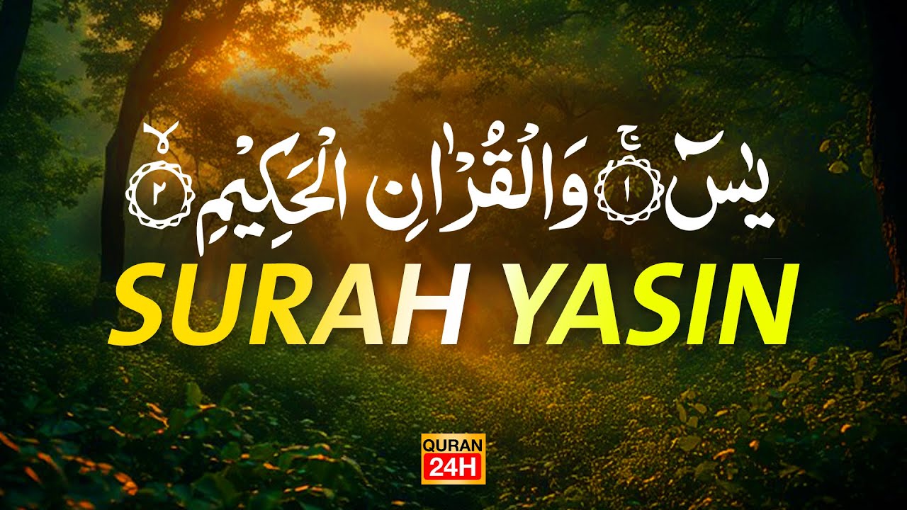 Surah Yaseen Surah Ar Rahman | Best Qur'an Recitation | Surah Yasin full | With Arabic text