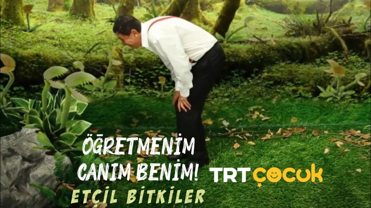 &Ouml;ğretmenim Canım Benim 11.B&ouml;l&uuml;m - Et&ccedil;il Bitkiler (Full HD) [TRT &Ccedil;ocuk]