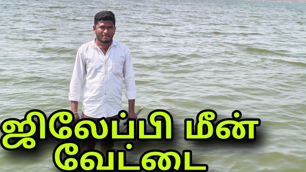 மோகனின் ஒரு மீன் ஒரு கிலோ ஜிலேப்பி மீன் பிடிச்சிட்டாப்பள 