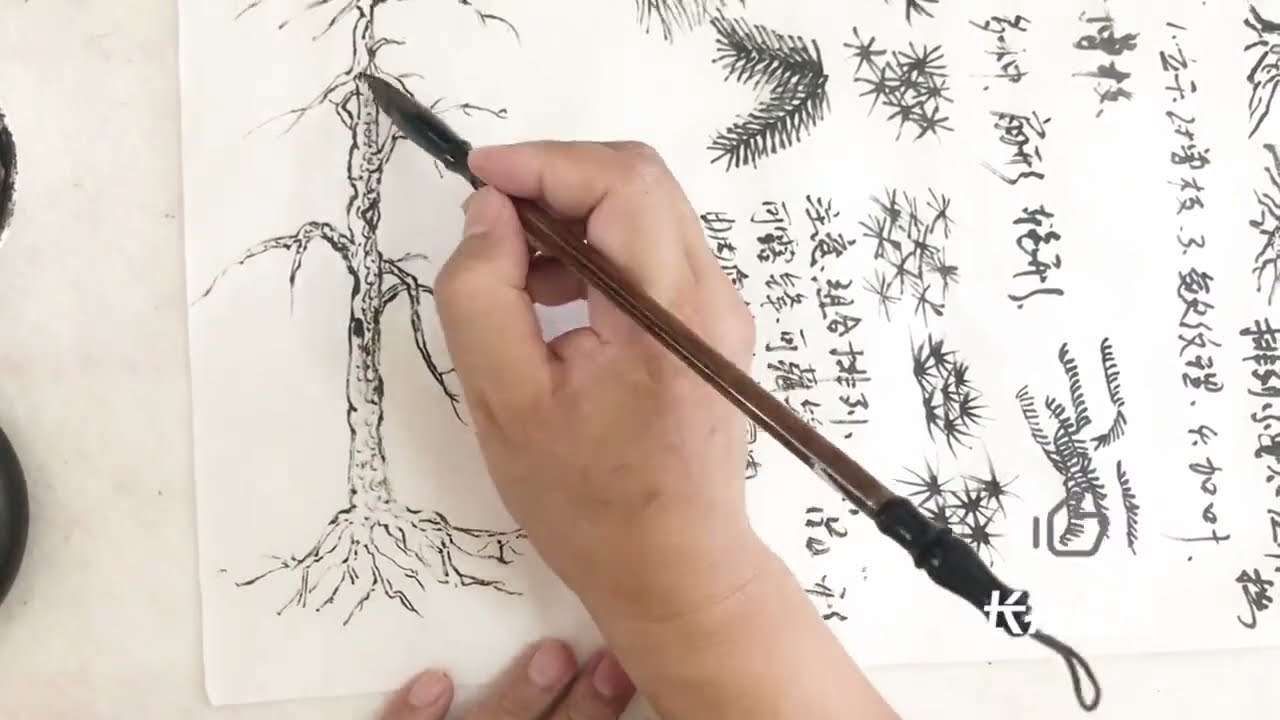 松树详细的分解画法，松皮如鳞松叶如针，掌握这两点轻松画松树