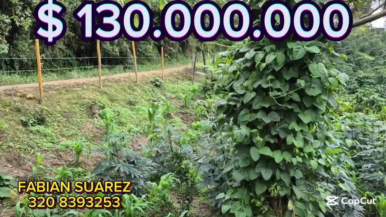 ACOGEDOR CASALOTE 913 m² Fusagasuga cundinamarca