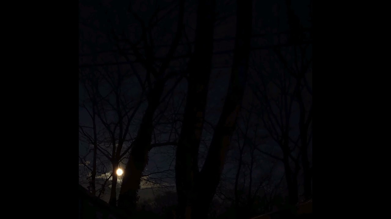 I Miss The Night