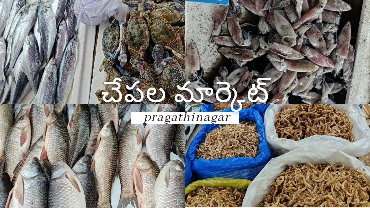 ఇక్కడ దొరకని చేపలు లేవు|ప్రగతినగర్ చెరువు రోడ్ హైదరాబాద్|Fish market|రొయ్యలు పీతలు అన్నీ ఉంటాయి