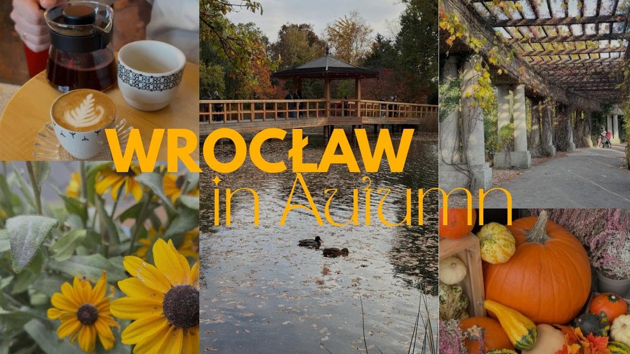Cozy vlog in Wrocław | Specialty Coffee | Aesthetic places 🌿| cozy games reviews with cat 🐈