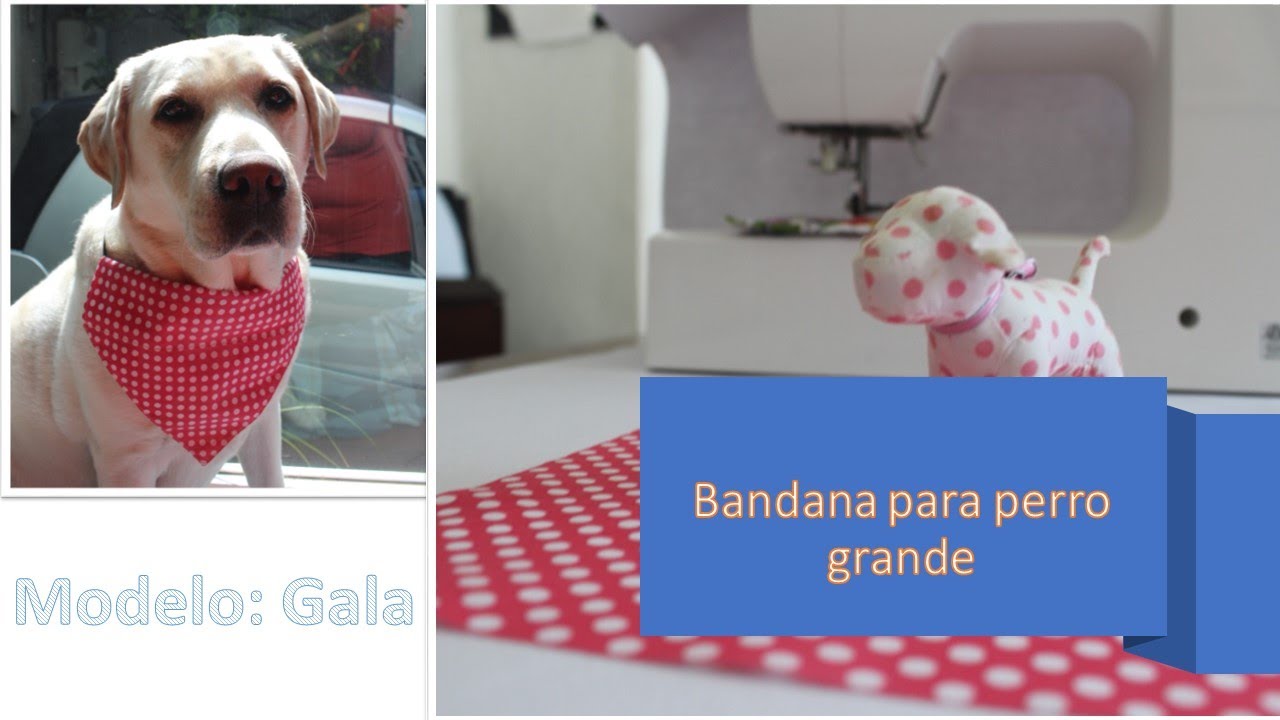 Bandana para perro grande,  tipo Labrador, Husky, Pastor, Rottweiler, etc. Hazla en sólo 5 minutos.