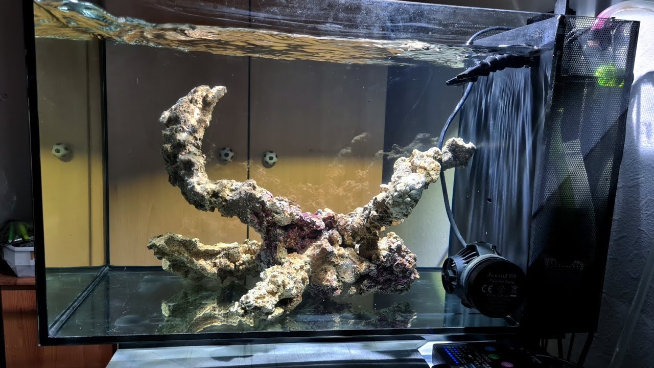 Fluval Evo 13.5 | adding water