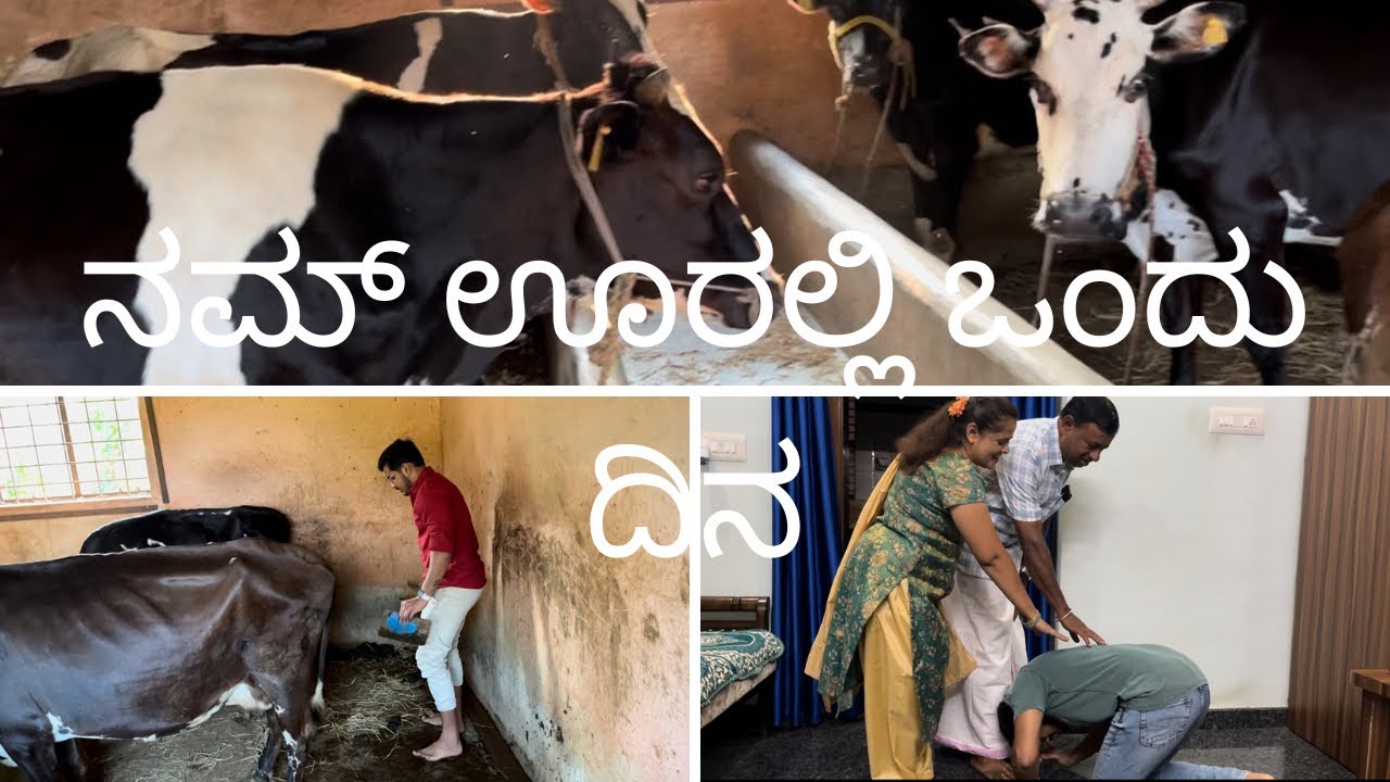 UK🇬🇧 ಬೇಡ Guru🤯 ,ನಮ್ ಊರೇ Saku🙃 |peace life ☮️ | after 1year ನಾನ್ ಸಗಣಿಯಲ್ಲ ಬಾಚಿದೆ 😇|@Lifeclickskannada