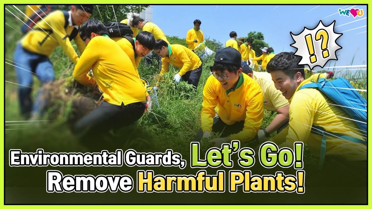 [WeLoveU] Chairwoman Zahng Gil-jah’s Movement to Protect Ecosystem